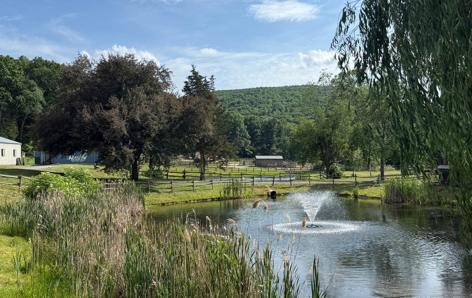Landscape-about Winslow Therapeutic: Warwick NY