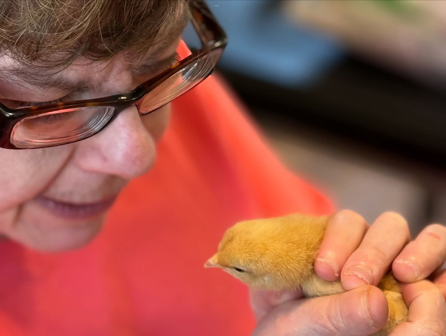 Adult Day Program Adult Day Program - SMALL ANIMAL HUSBANDRY