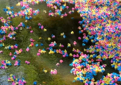 The Ducks on Derby day!