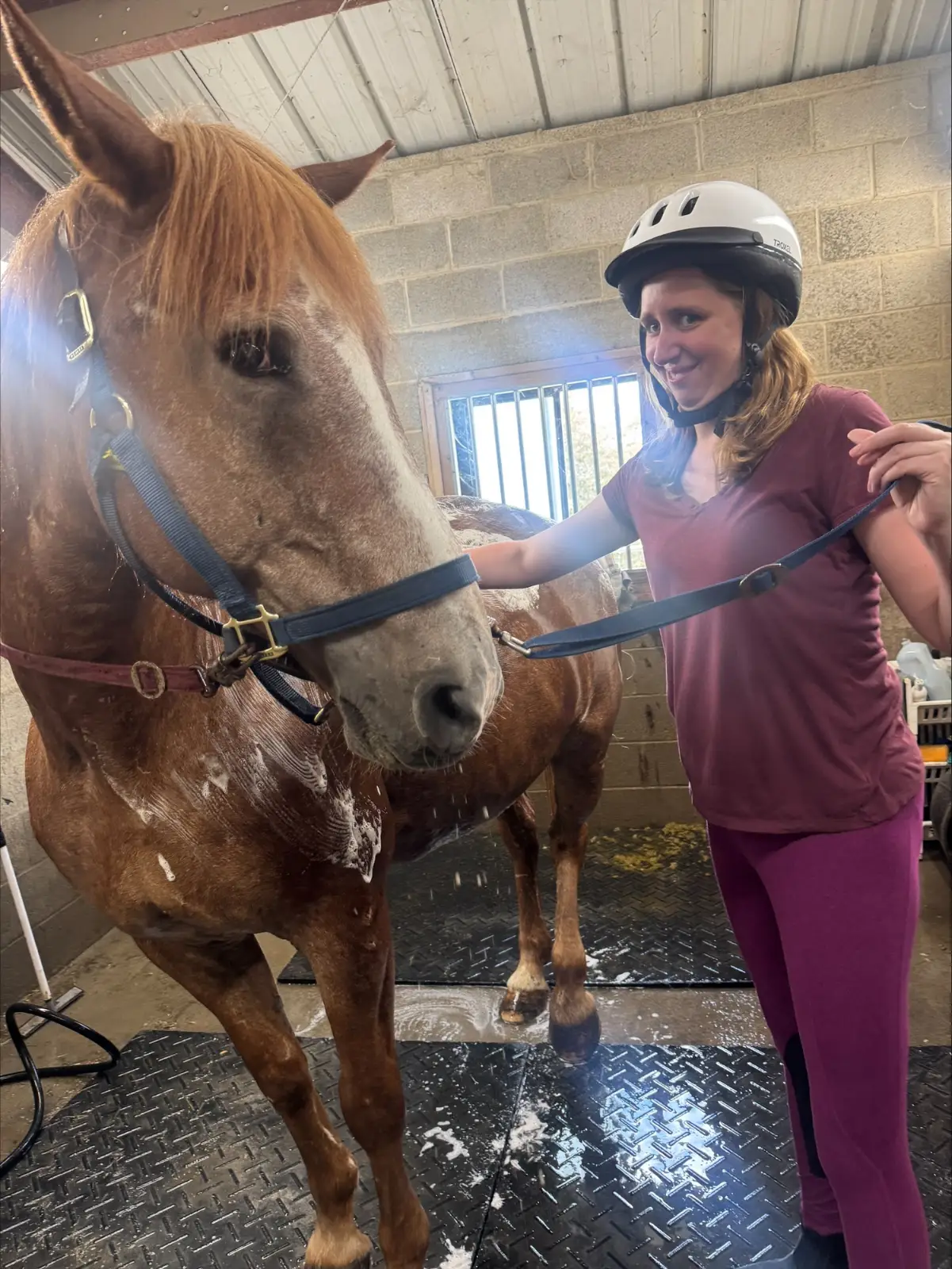 Logan R and Ember - ground lesson